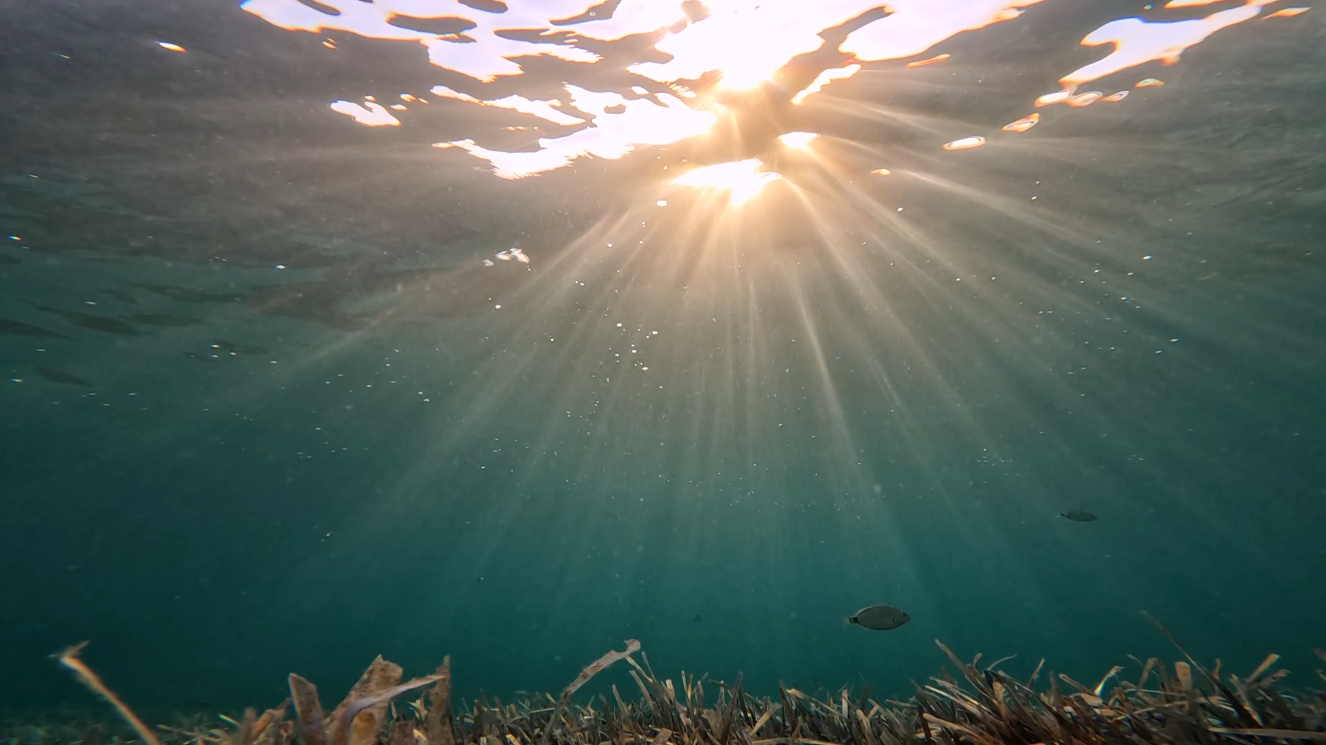 Sea underwater with sunbeams