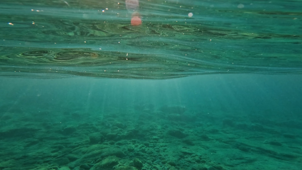 Underwater of the Maddalena sea in Sardinia