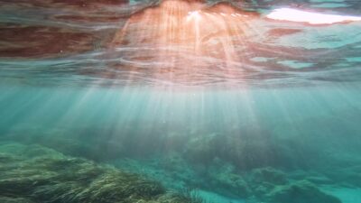 Beautiful seabed with sun rays