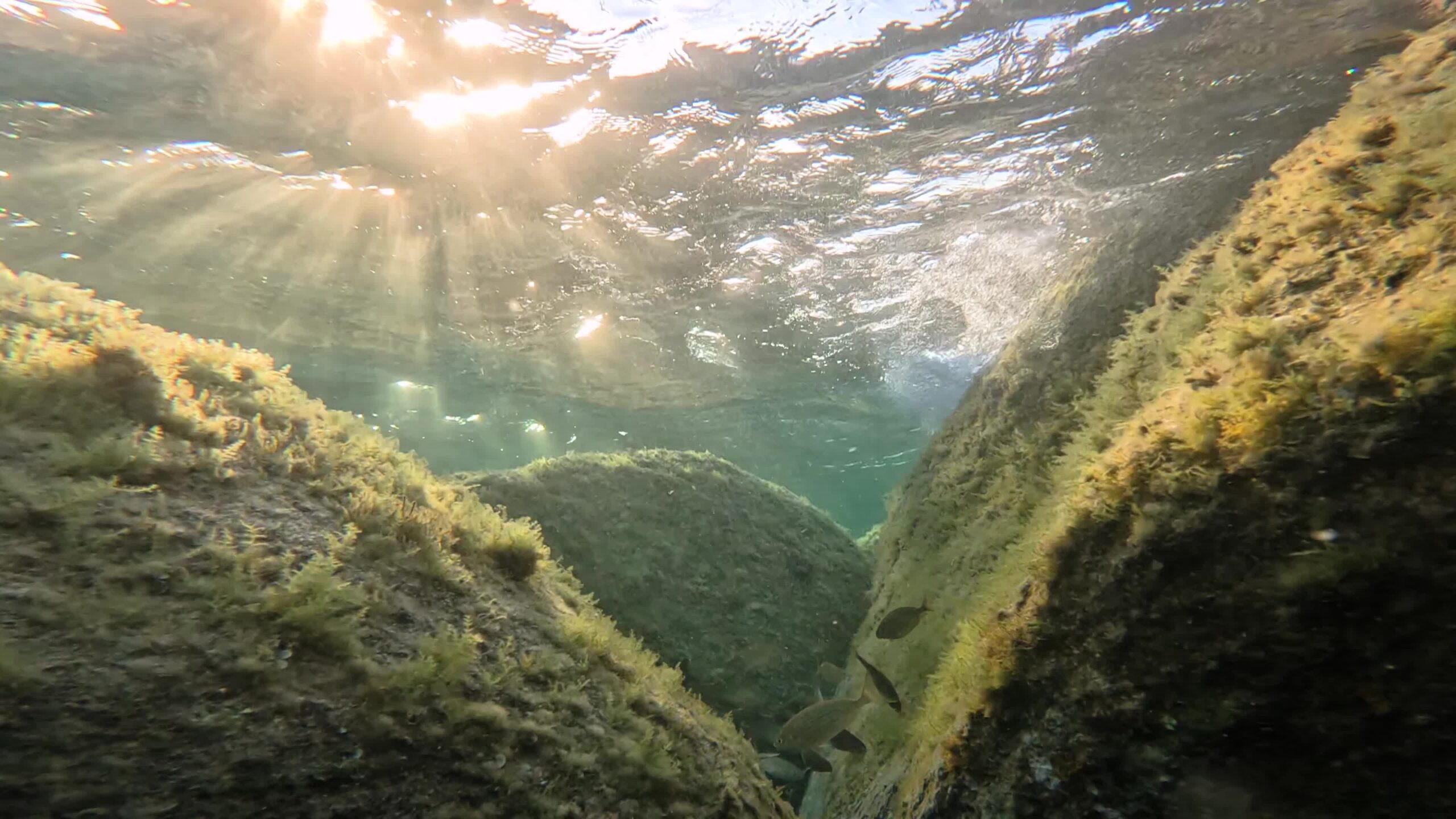 Under the waves of the sea among the rocks