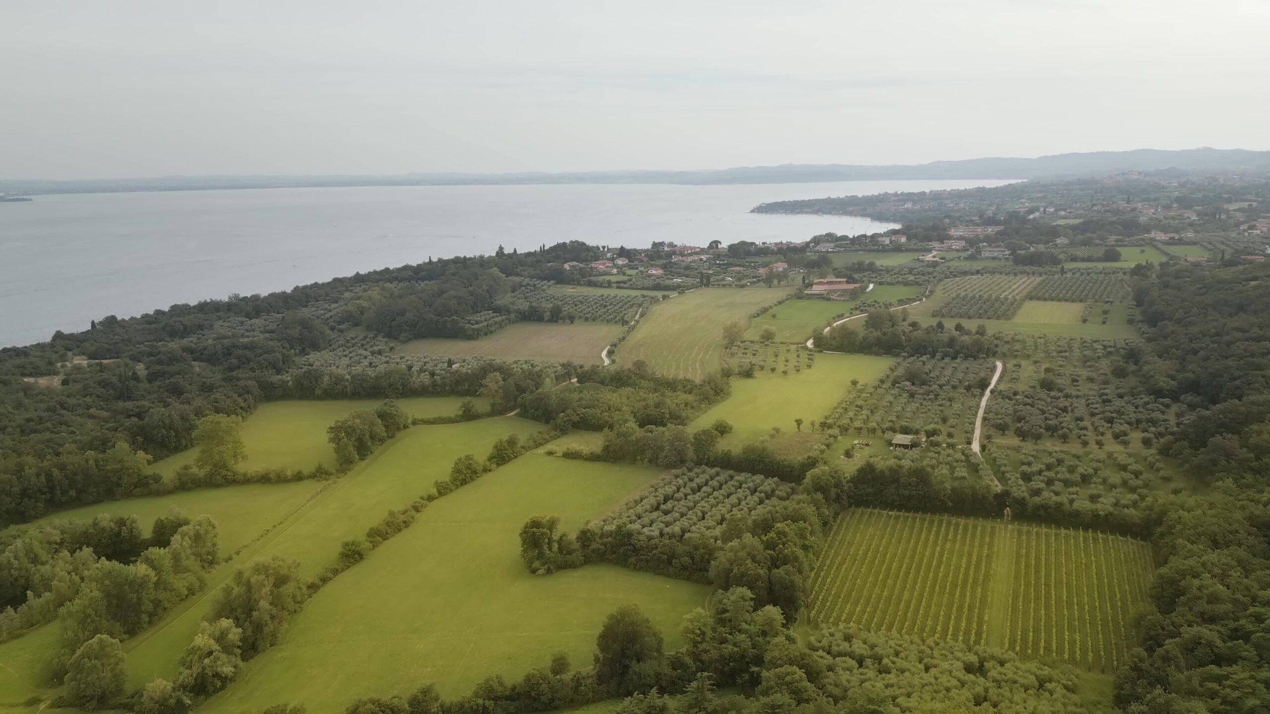 Green fields at Lake Garda