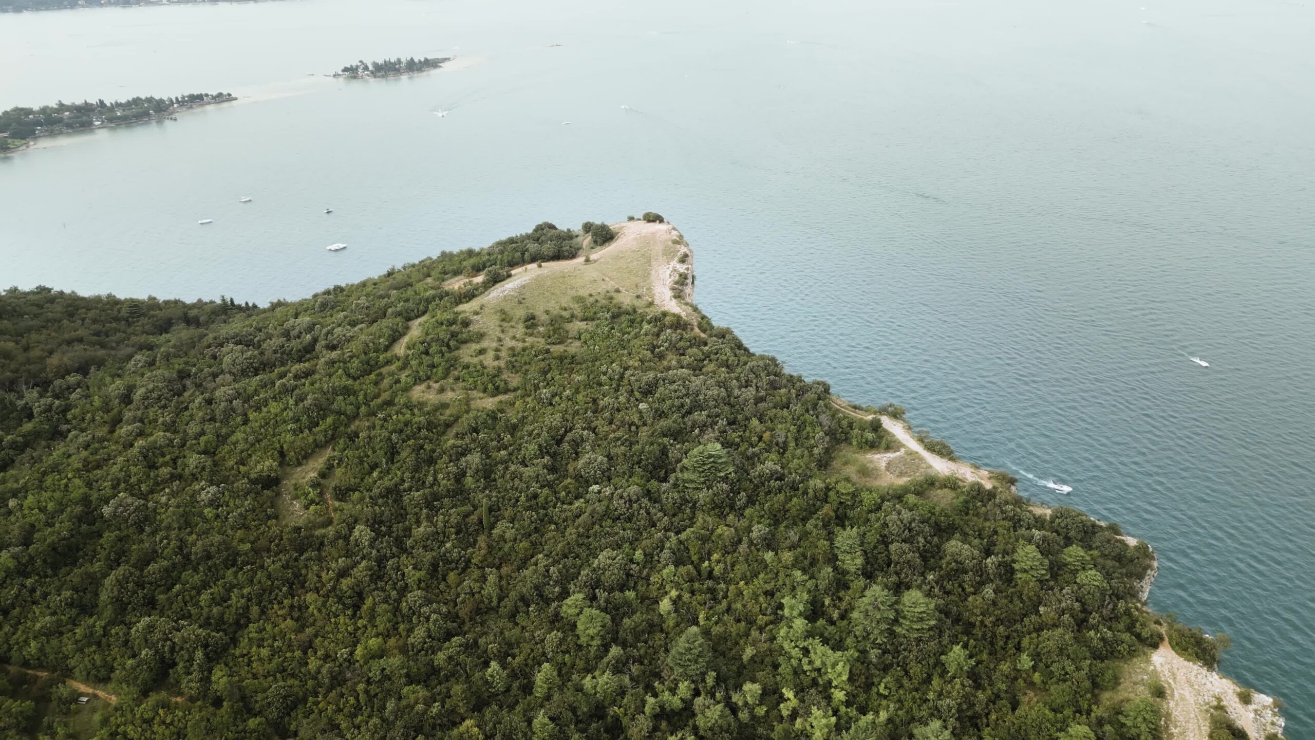 Green forest above mountain by the sea