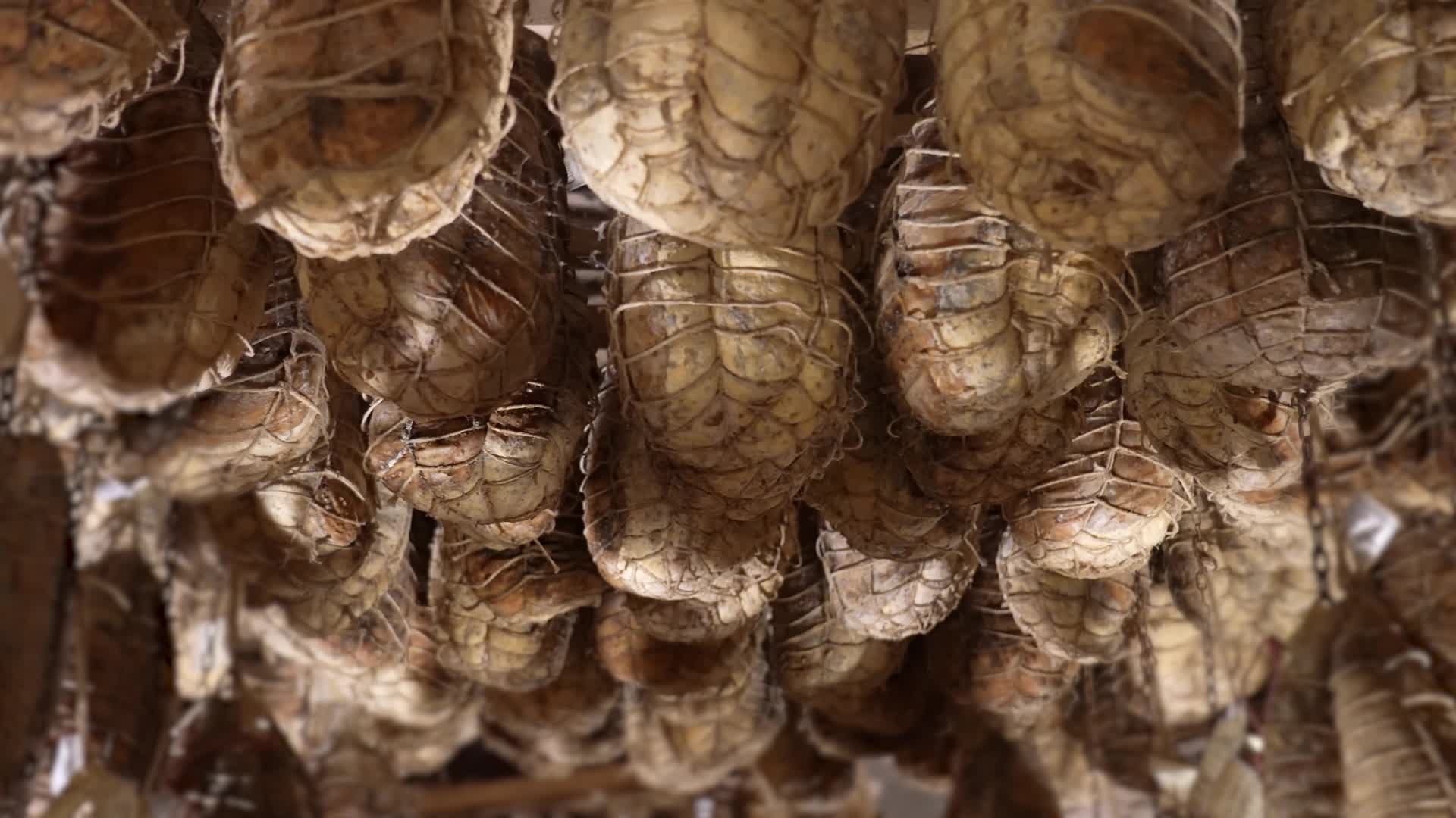 Legs of pigs age hanging from the ceiling