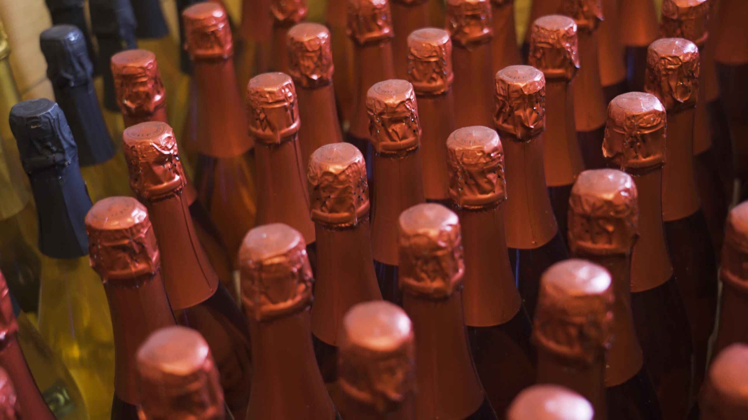 Closed wine bottles