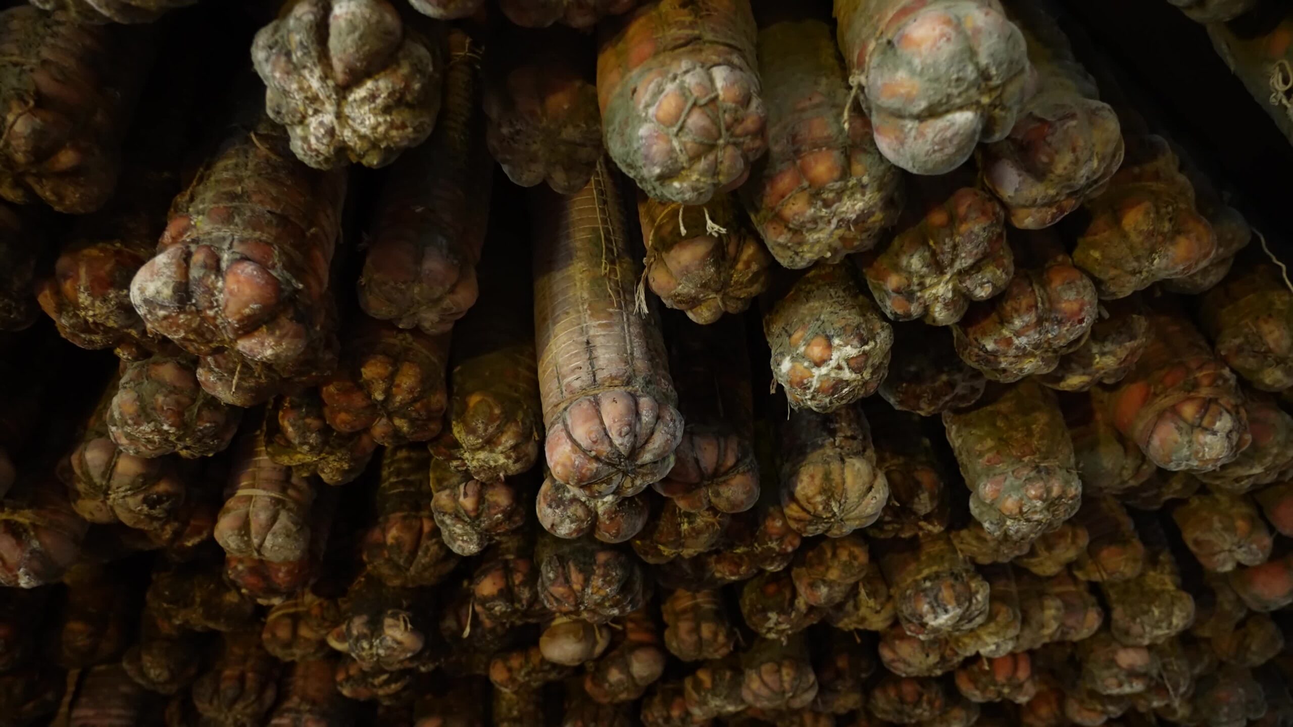 Culatelli ages in the cellar