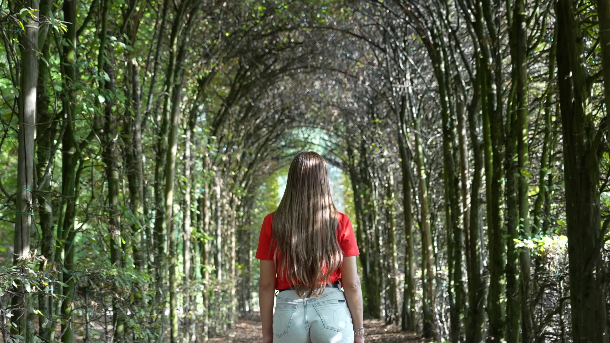 Young woman walks in the park
