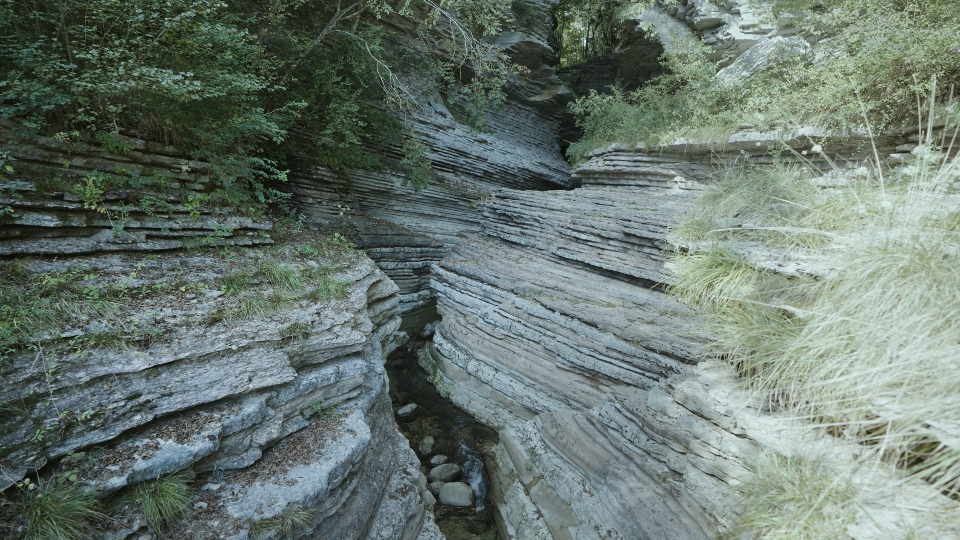 Canyon Brent de l’Art