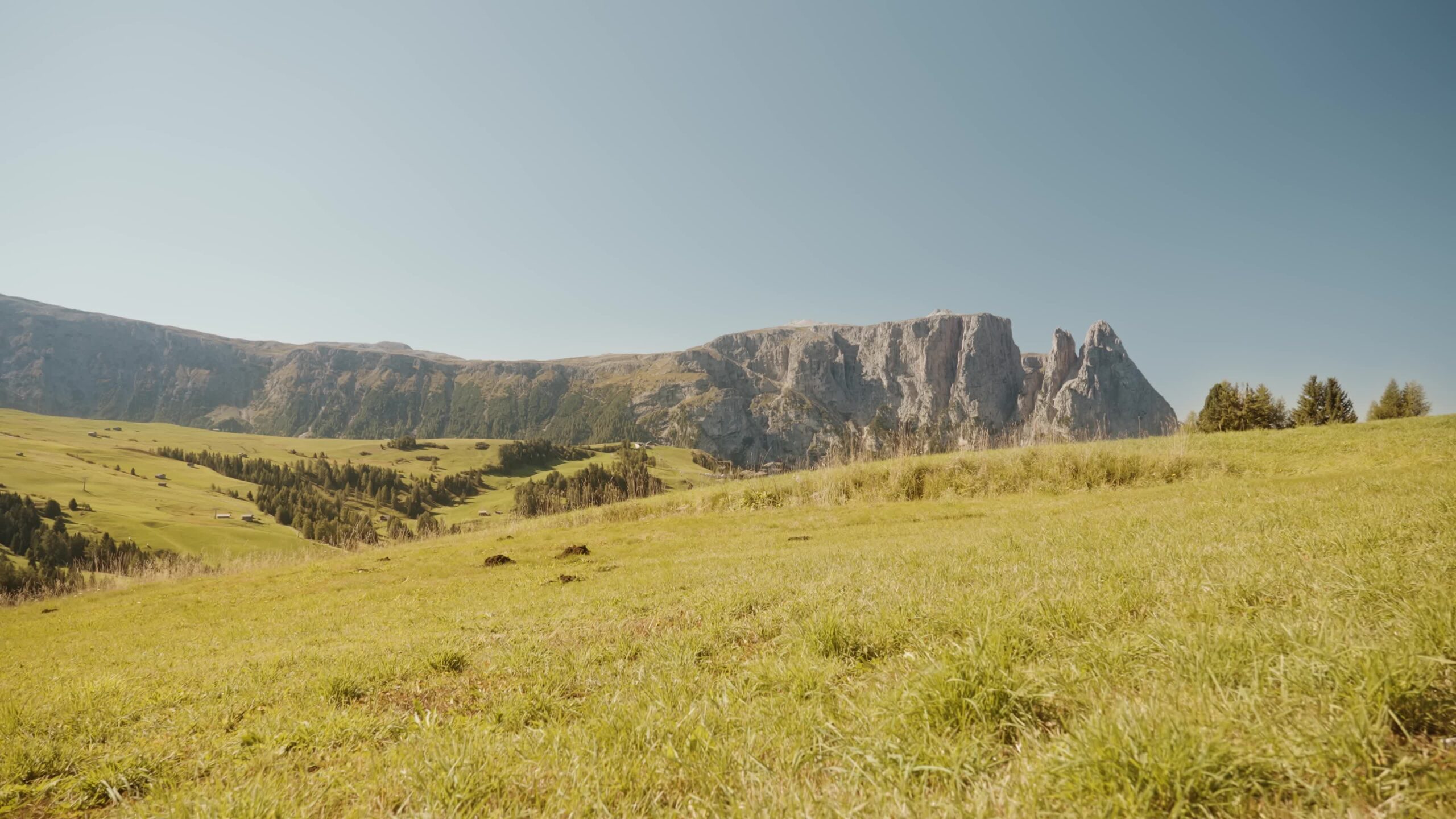 View from the green meadow on the rocky mountains