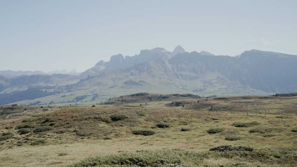 Green meadows in the Dolomite mountains