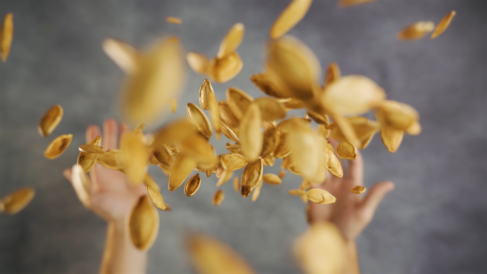 Toasted pumpkin seeds tossed high