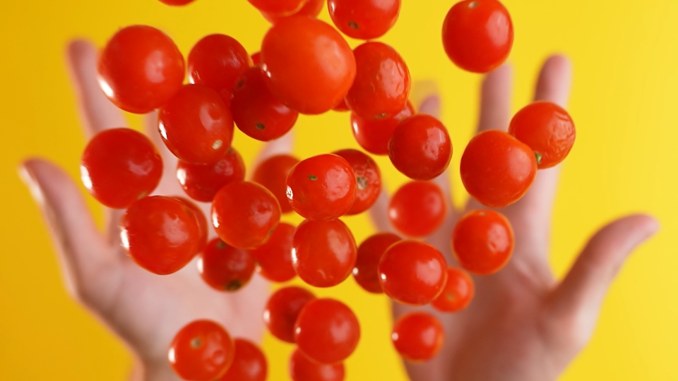 Small red tomatoes. Cherry tomatoes