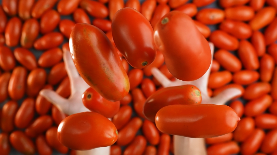 Pomodori rossi gustosi