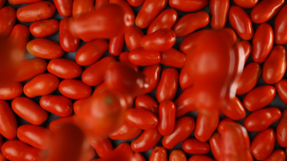 Mucchio di pomodori