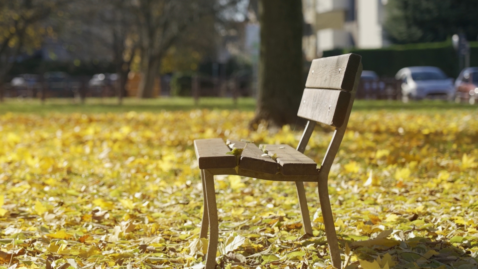 Panchina tra le foglie di autunno
