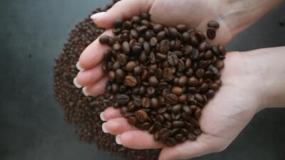 Gentle Coffee Bean Cascade