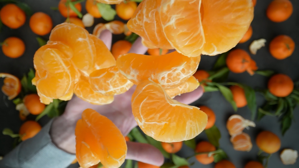 Movimento Lento delle Fettine di Clementine Lanciate