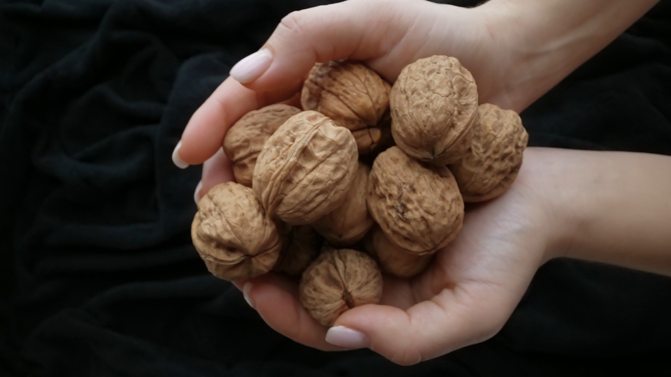 Walnuts Cascading into Palms
