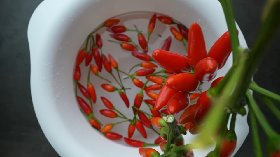 Slow-Motion Descent of Red Chili Peppers into Water