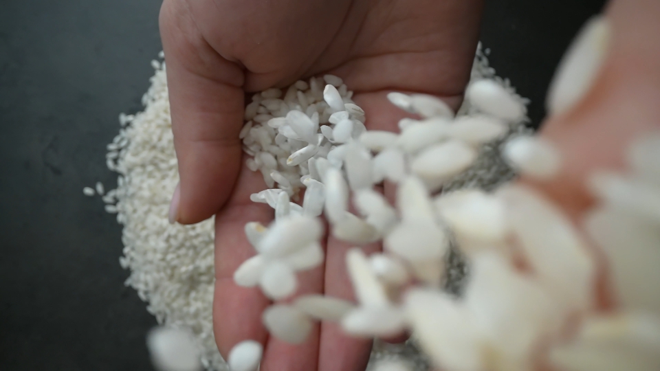 Rice Grains Cascading onto Open Palm