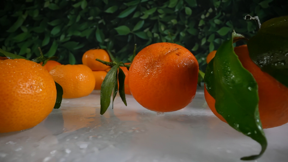 Slow-Motion Fall of Juicy Mandarins
