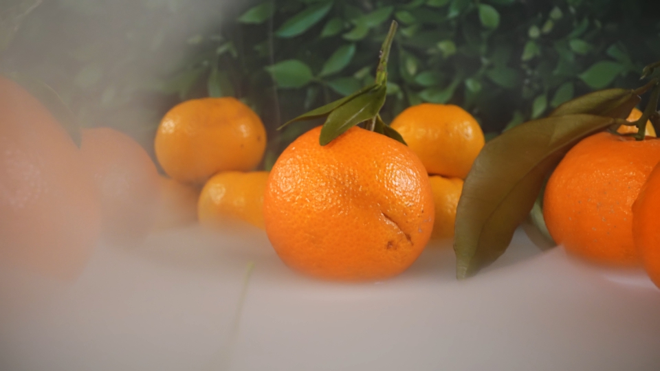 Clementine tra Fumo Ghiacciato