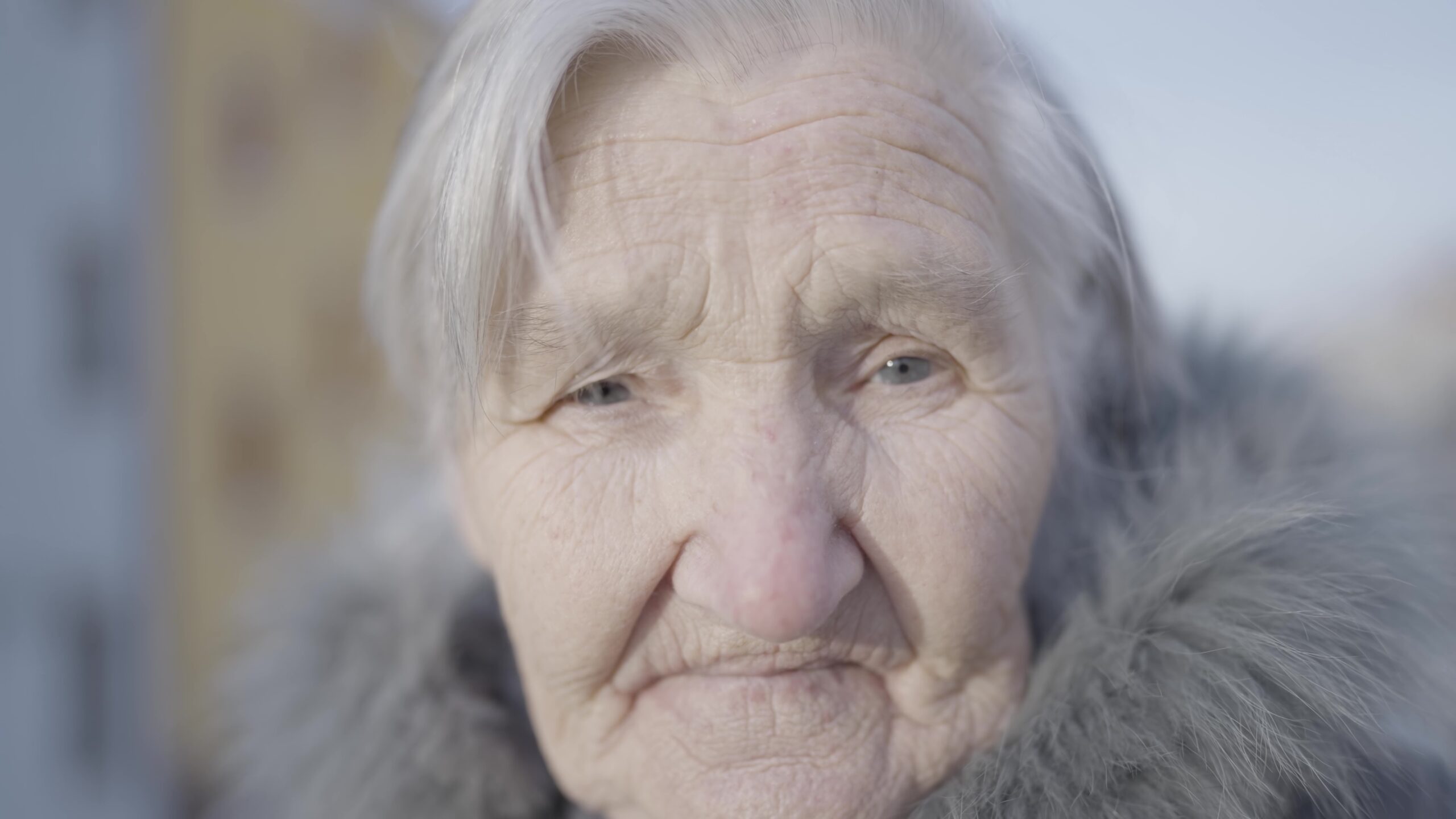 Elderly woman with gray hair and a fur coat is looking at the camera