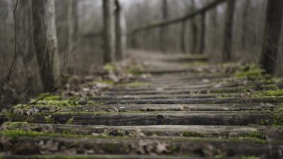 Old wooden walkway