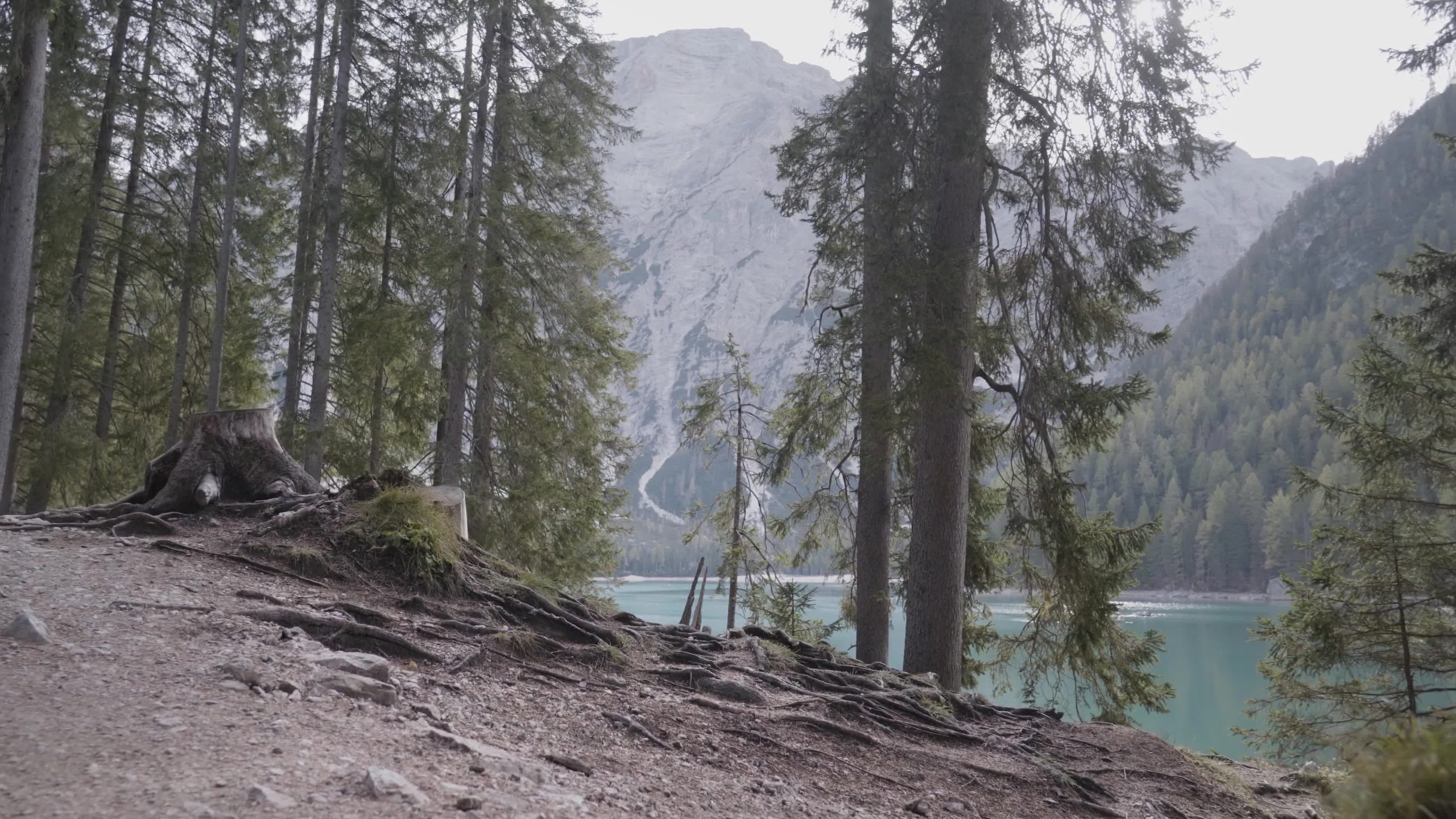 Il Lago di Braies dietro gli alberi del bosco