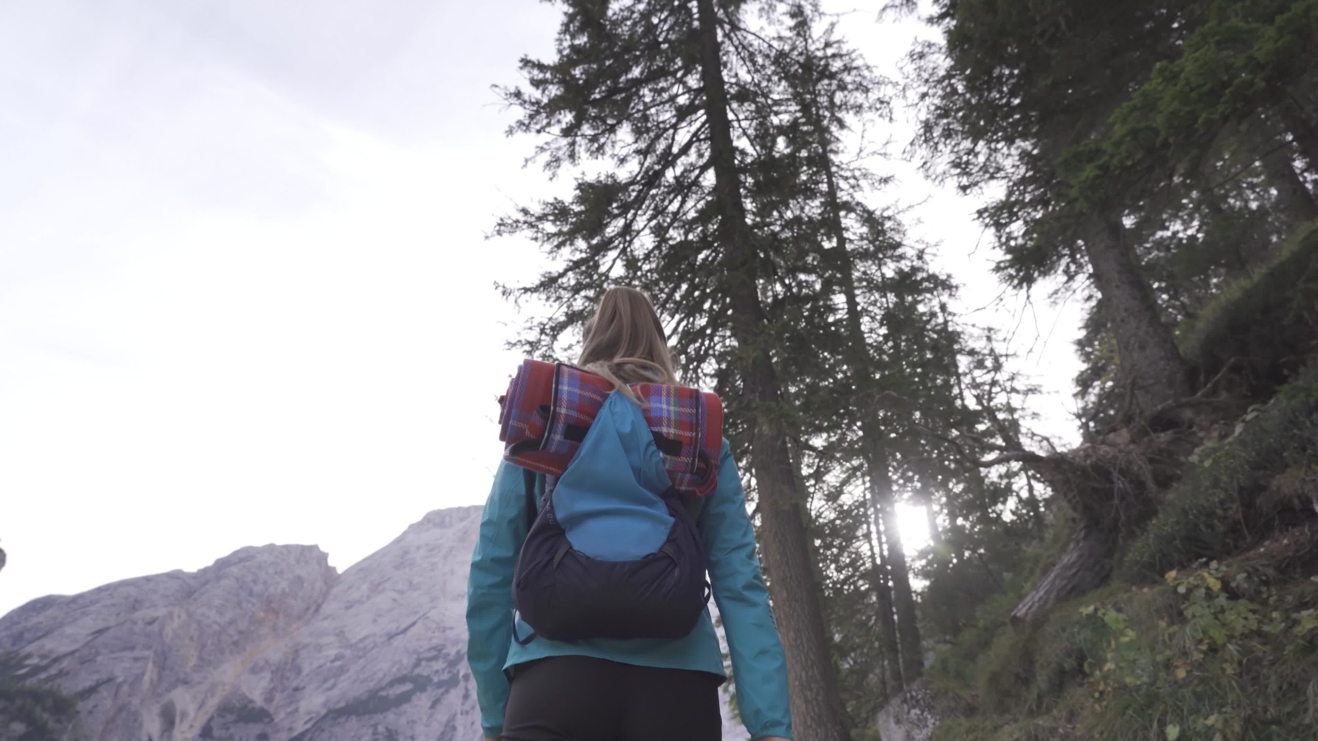 La donna con lo zaino cammina sotto gli alberi nella foresta