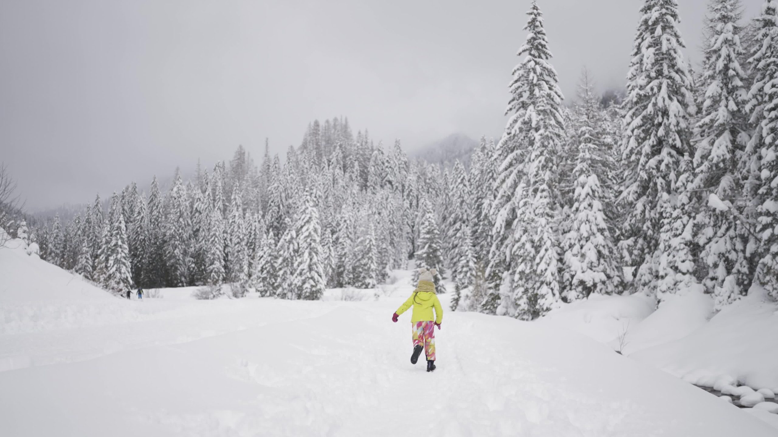 Little girl plays with dog in the snow in the woods