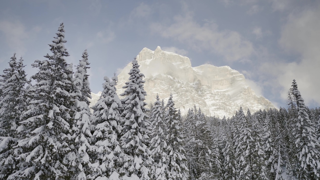 Illuminated mountain behind snow-covered trees