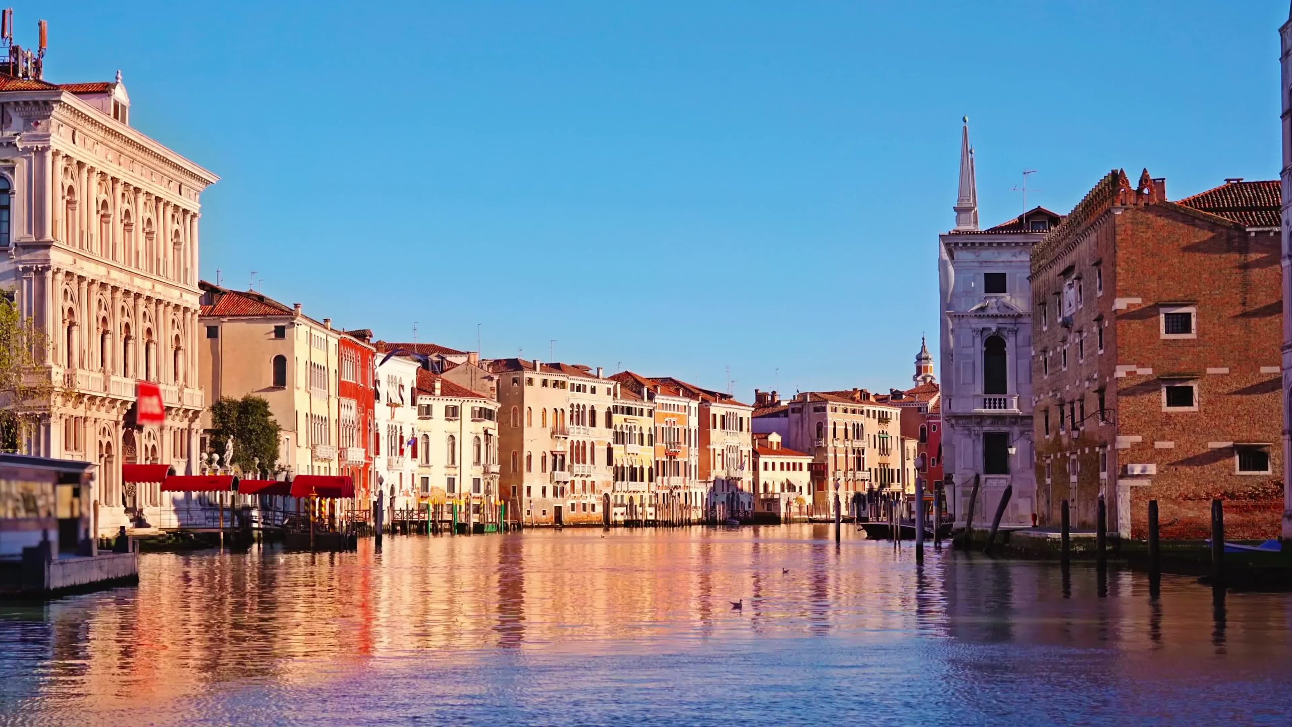 Movement along the Grand Canal in Venice