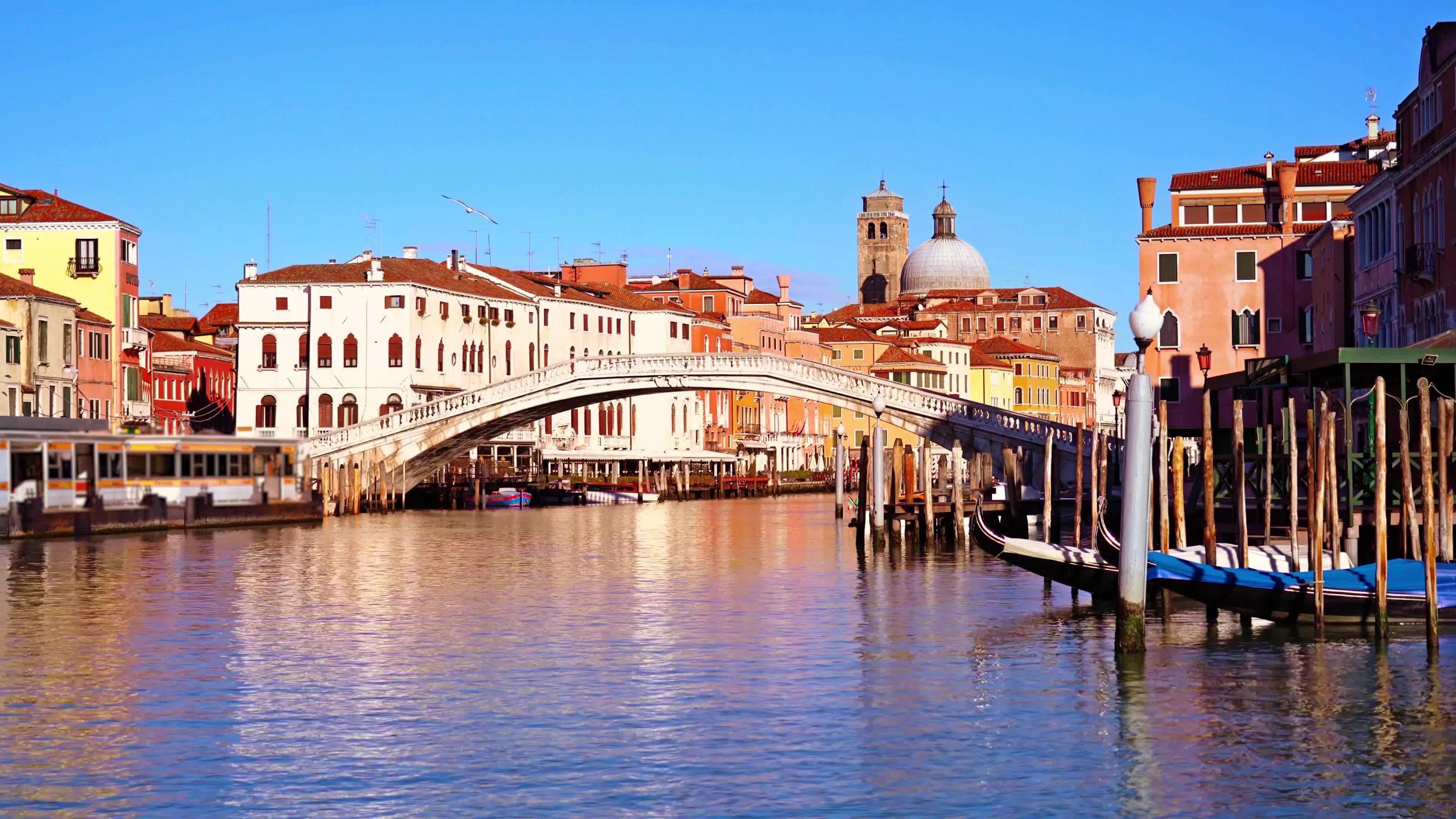 Venezia in lockdown: dal Canal Grande a Ponte Scalzi