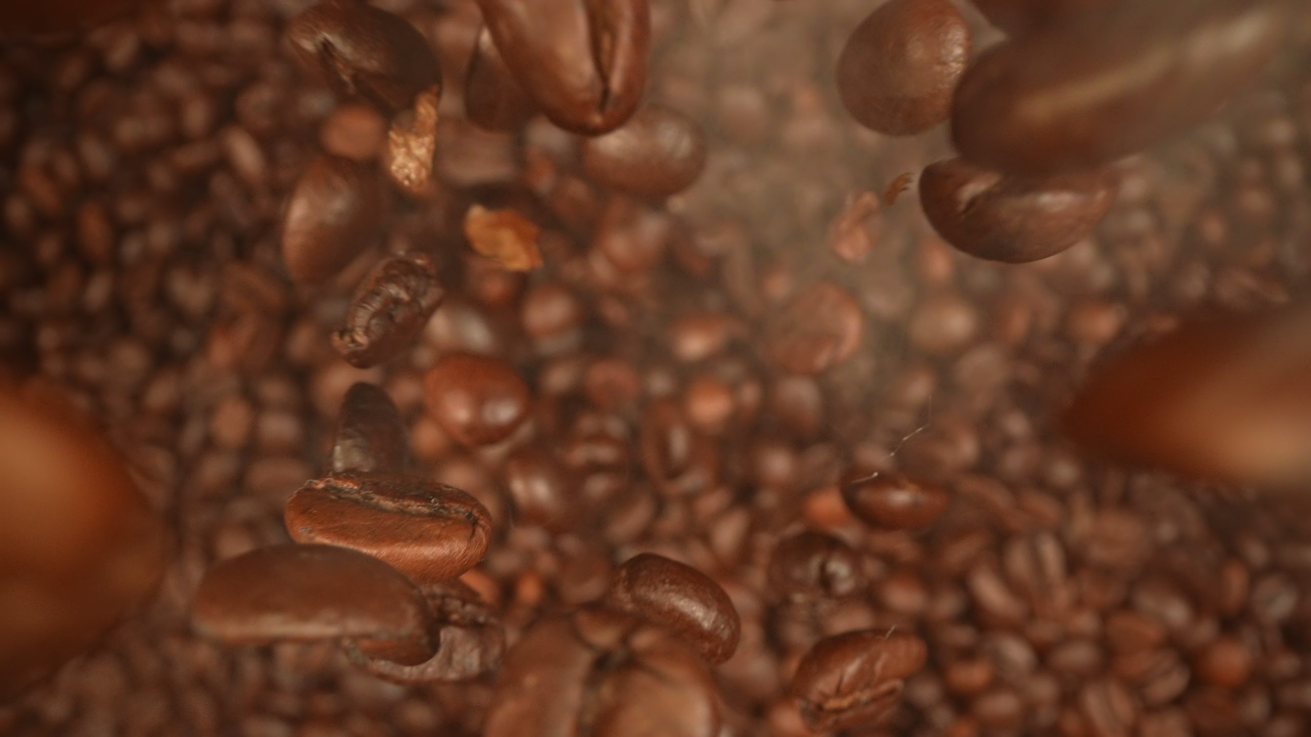 Chicchi di caffè tostati