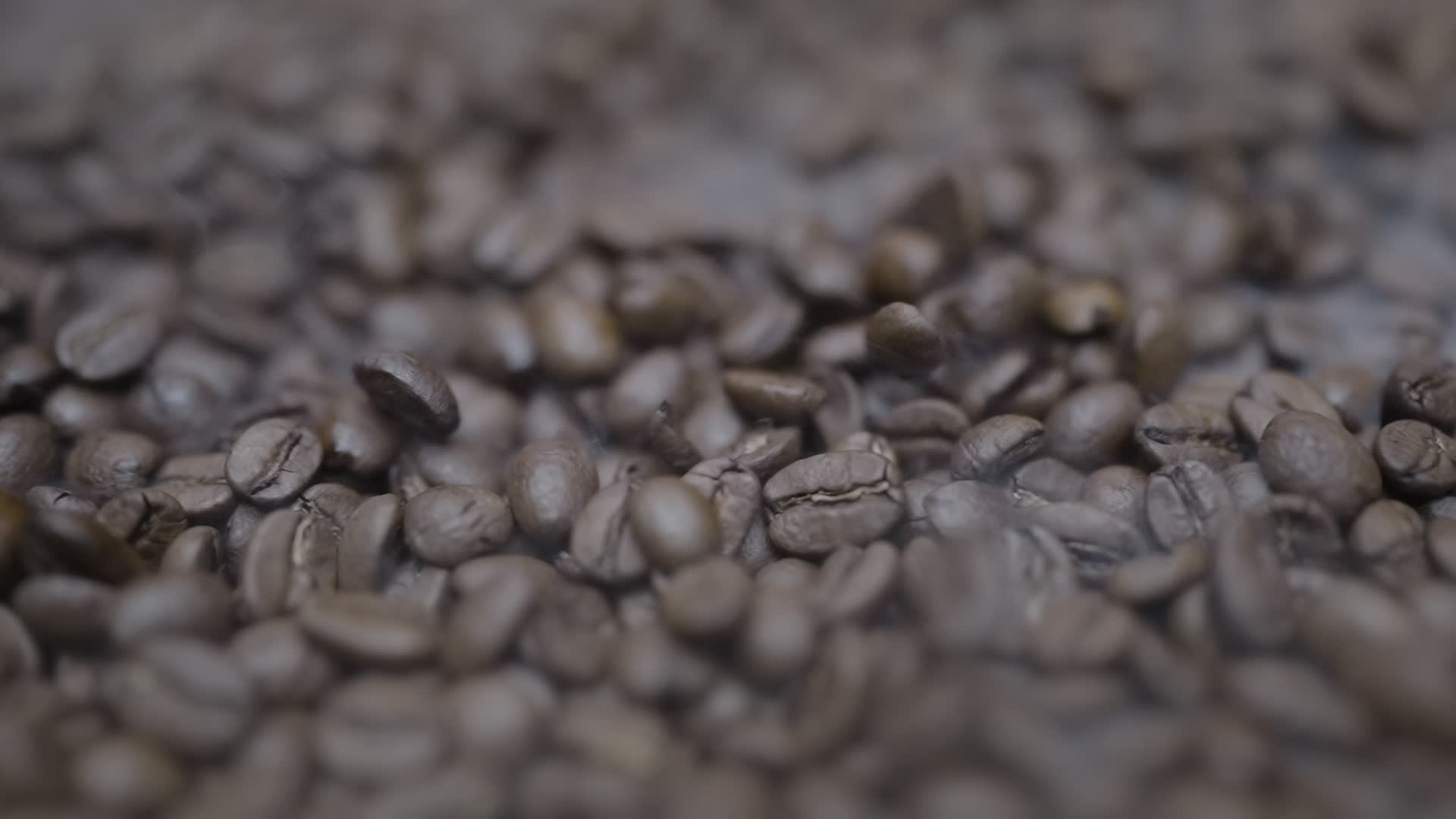 Chicchi di caffè appena tostati in movimento