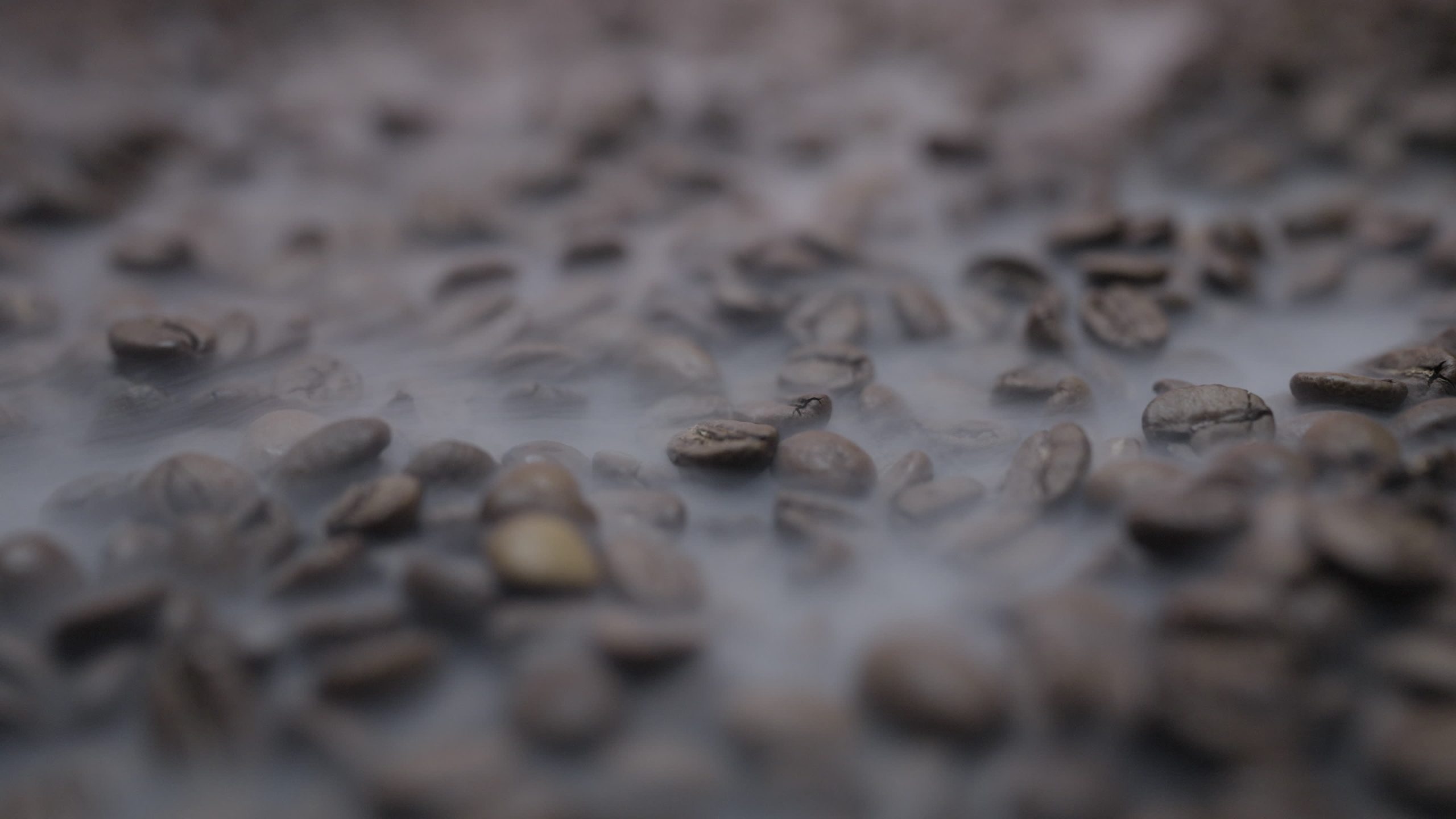 Chicchi di caffè al vapore in un’atmosfera nebbiosa