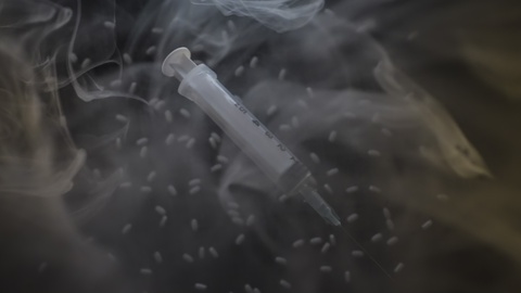 Siringa che fluttua tra la nebbia e le capsule