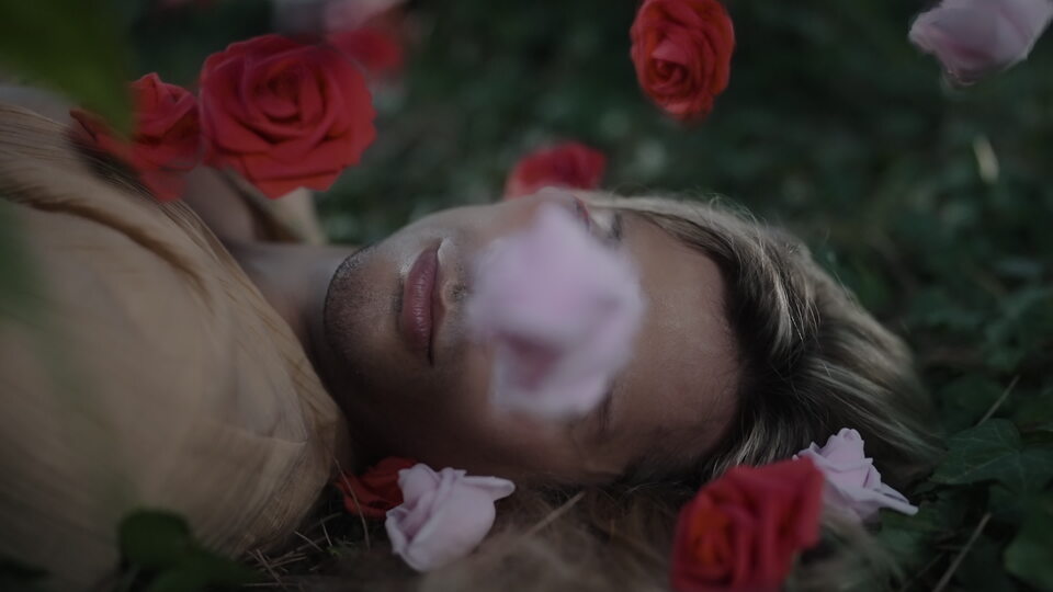 Rose che cadono in slow motion su viso sereno