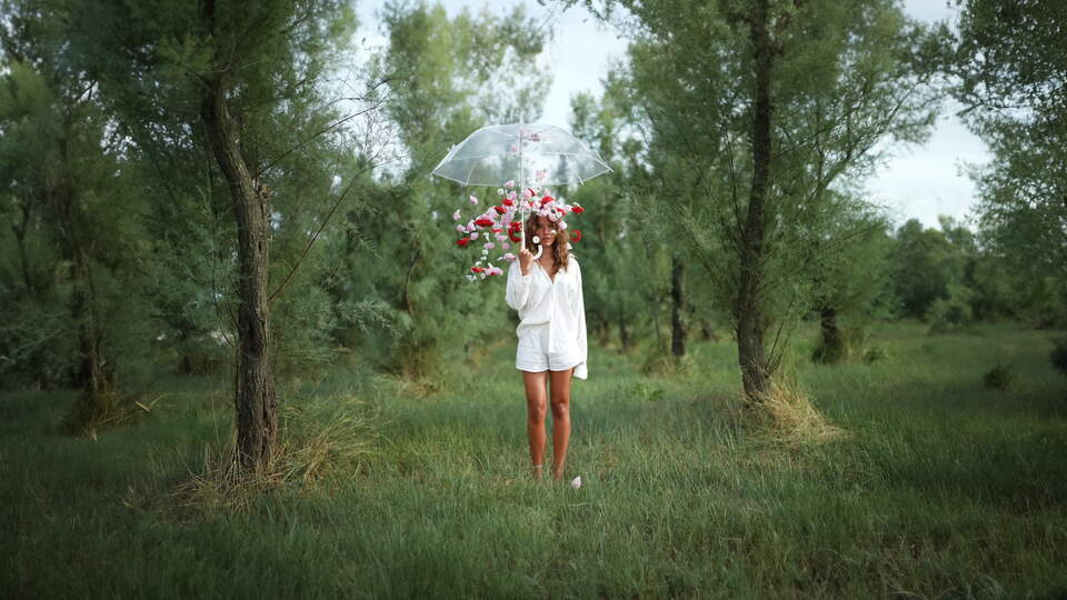 Slow Motion Falling Roses in Forest with Umbrella