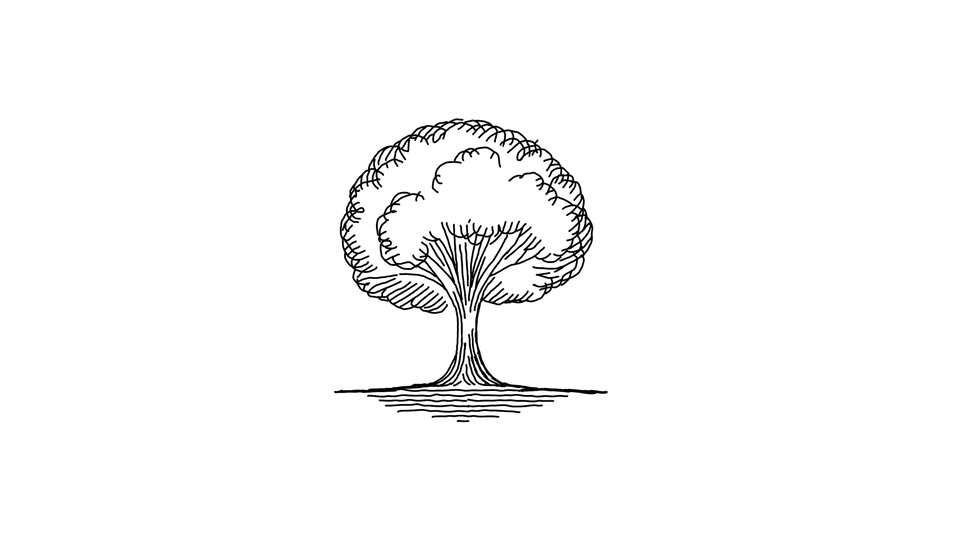 Disegno Lineare Semplice di un Albero