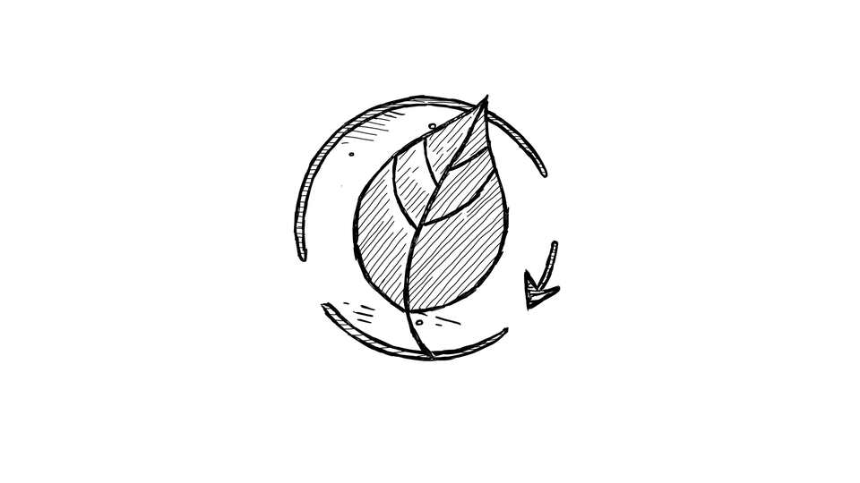 Disegno Ecologico di una Foglia