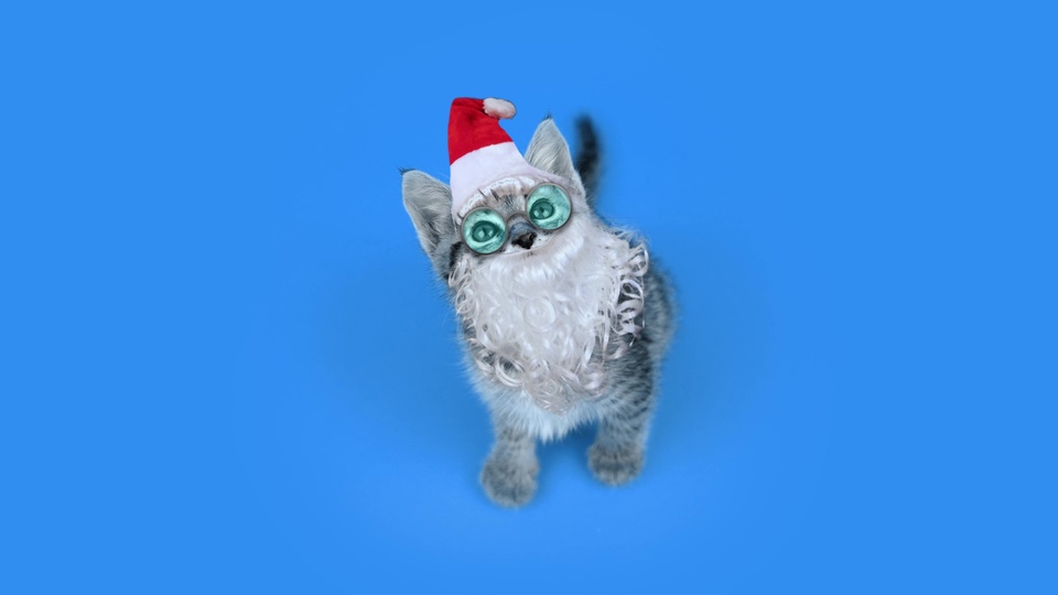 Gattino Festoso Vestito da Babbo Natale